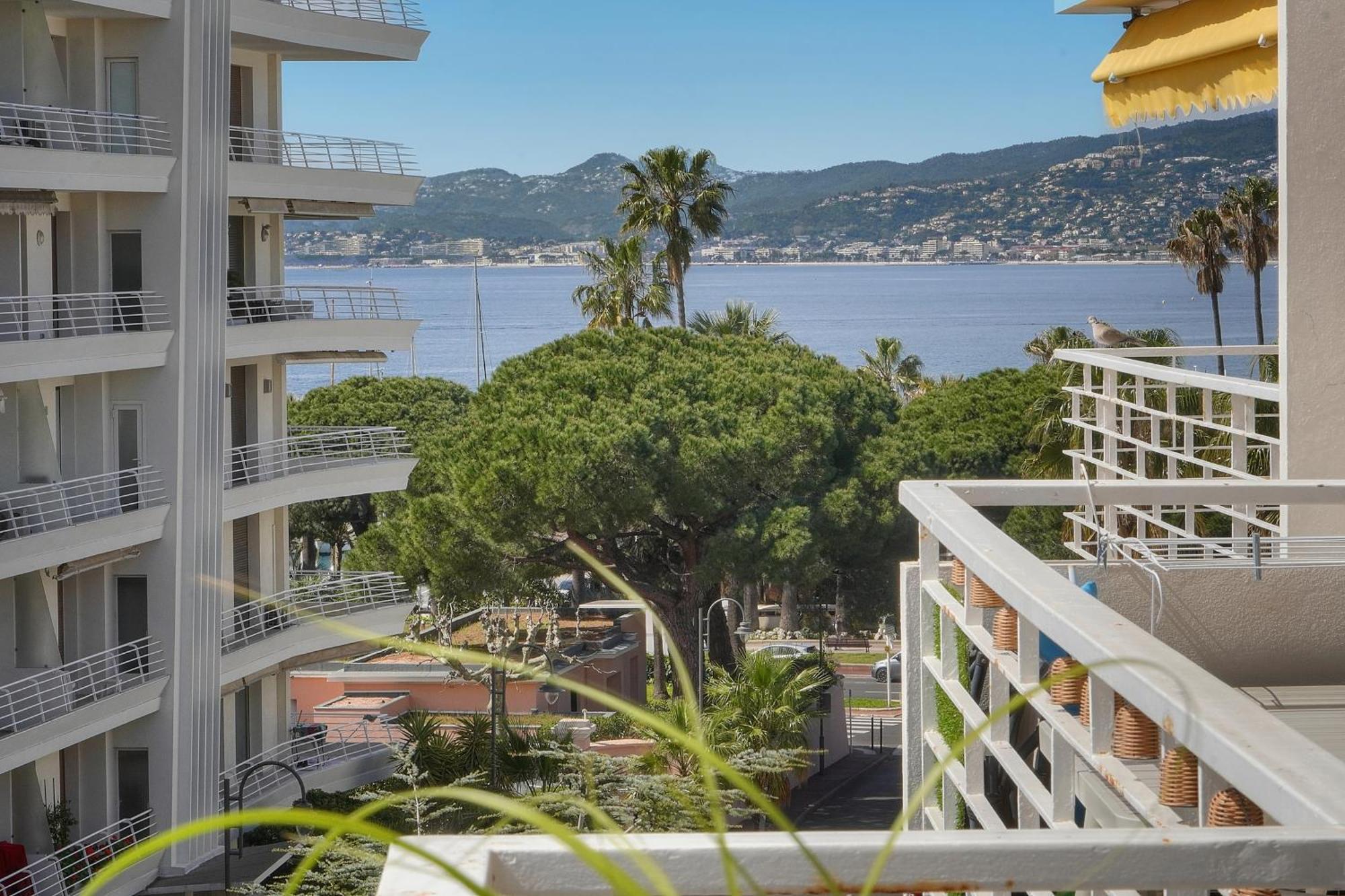 Frgk "Etoile Du Sud Terrasse Vue Mer Palm Beach" Cannes Exteriör bild